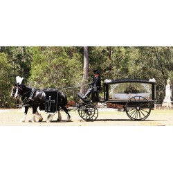 BRITISH FUNERAL HORSE CARRIAGE