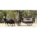 BRITISH FUNERAL HORSE CARRIAGE