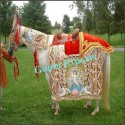 WEDDING HORSE COSTUMES