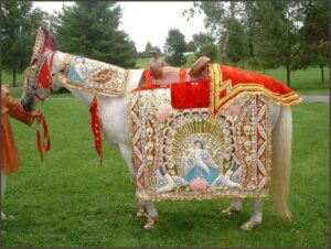 Horse Costume Sample 9