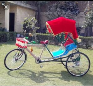 Wedding Rickshaw 2