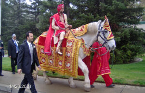 Horse Costume Sample 15