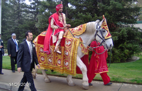 Horse Costume Sample 15