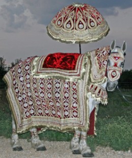 Horse Costume Sample 8