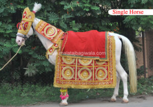 Horse Costume Sample 7