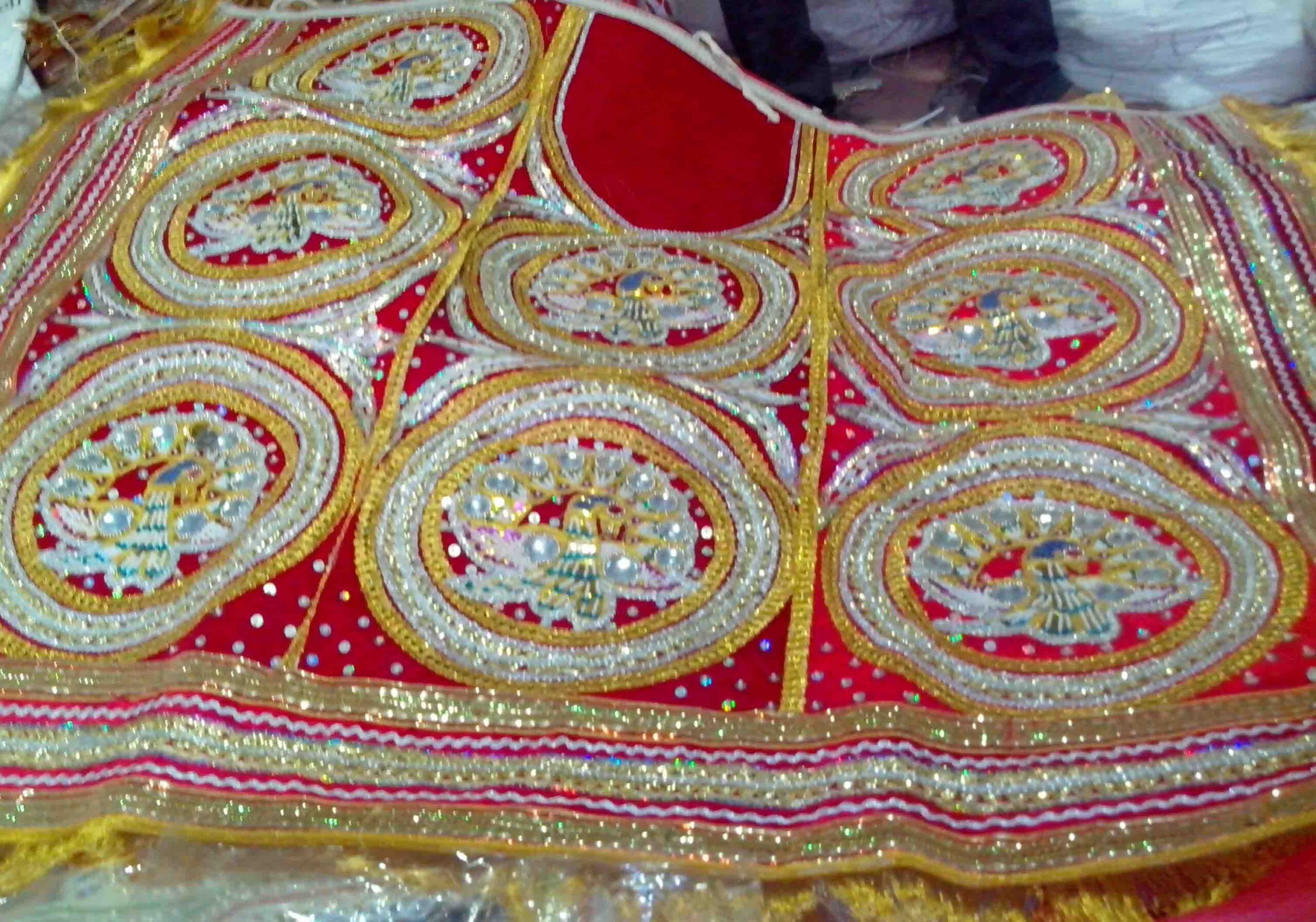 Horse Costume Sample 18