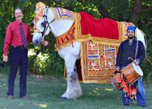 Horse Costume Sample 21