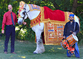 Horse Costume Sample 21