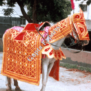 Horse Costume Sample 16