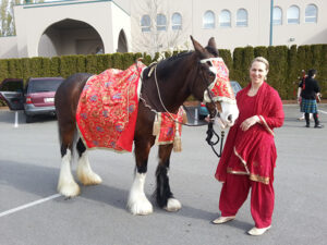 Horse Costume Sample 20