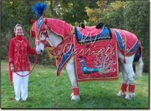 Horse Costume Sample 11