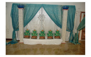 Sea Green Backdrops