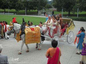 Horse Costume Sample 17