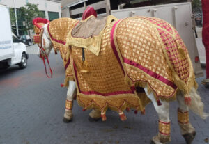 Horse Costume Sample 19