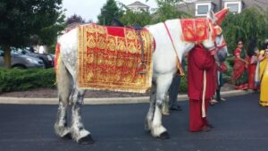 Horse Costume Sample 22